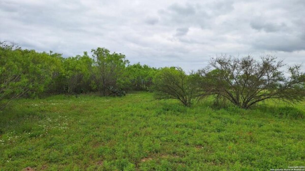 Picture of Residential Land For Sale in Elmendorf, Texas, United States