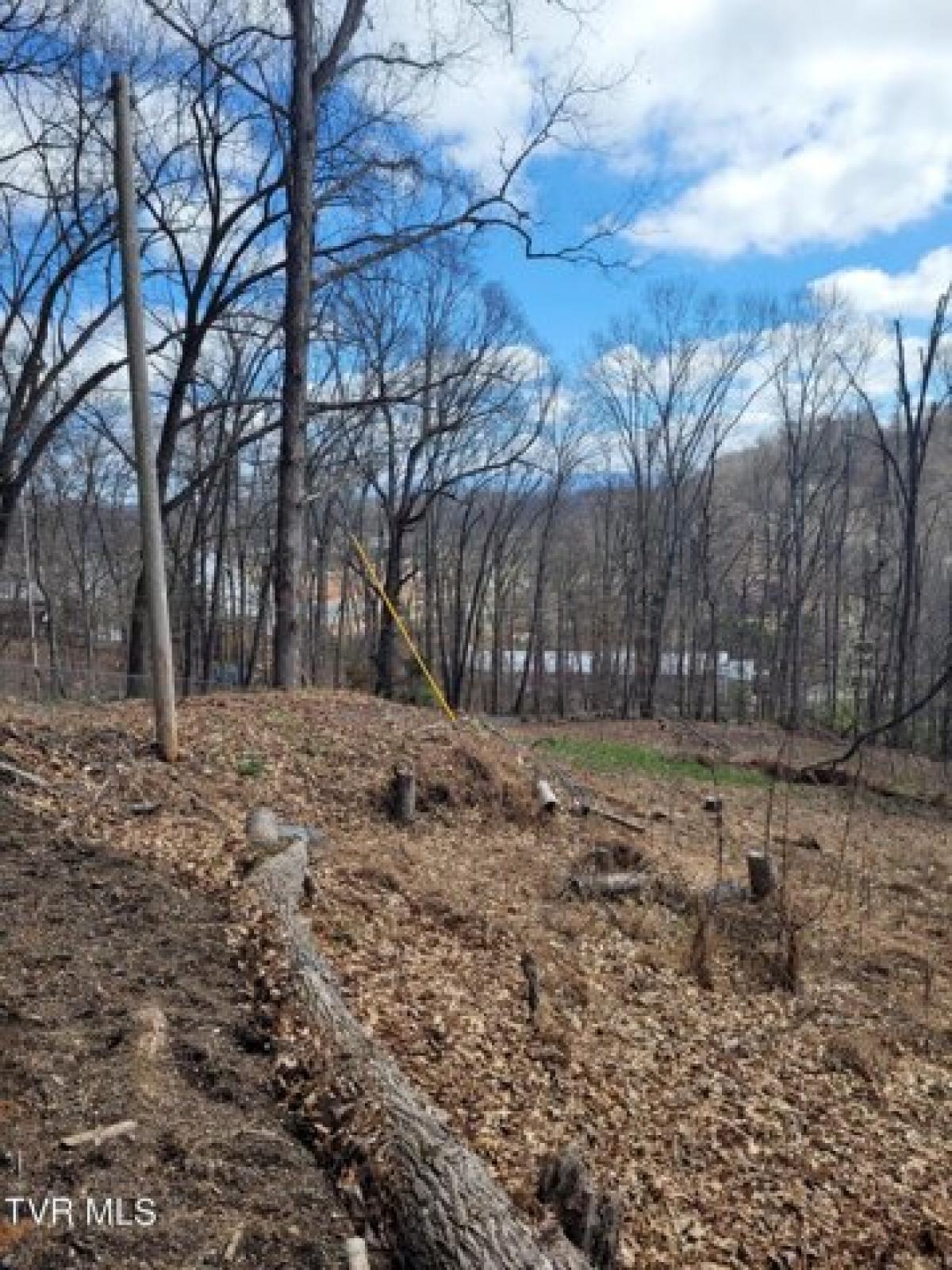 Picture of Residential Land For Sale in Gray, Tennessee, United States