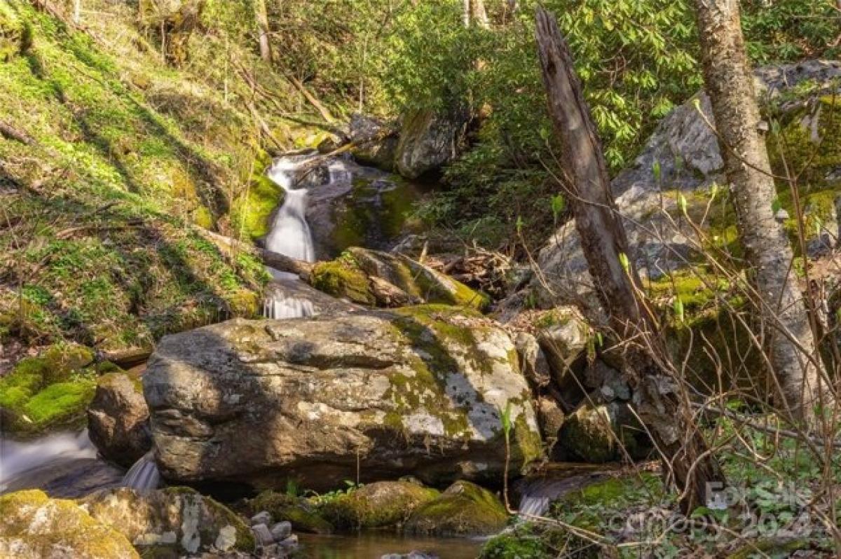 Picture of Residential Land For Sale in Sylva, North Carolina, United States