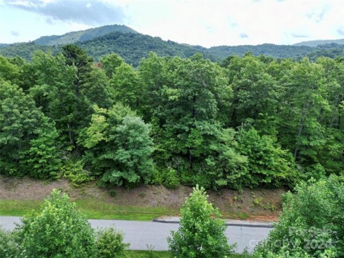 Picture of Residential Land For Sale in Black Mountain, North Carolina, United States