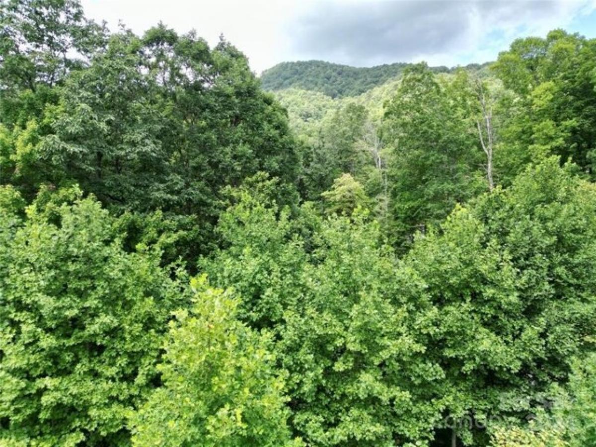 Picture of Residential Land For Sale in Black Mountain, North Carolina, United States