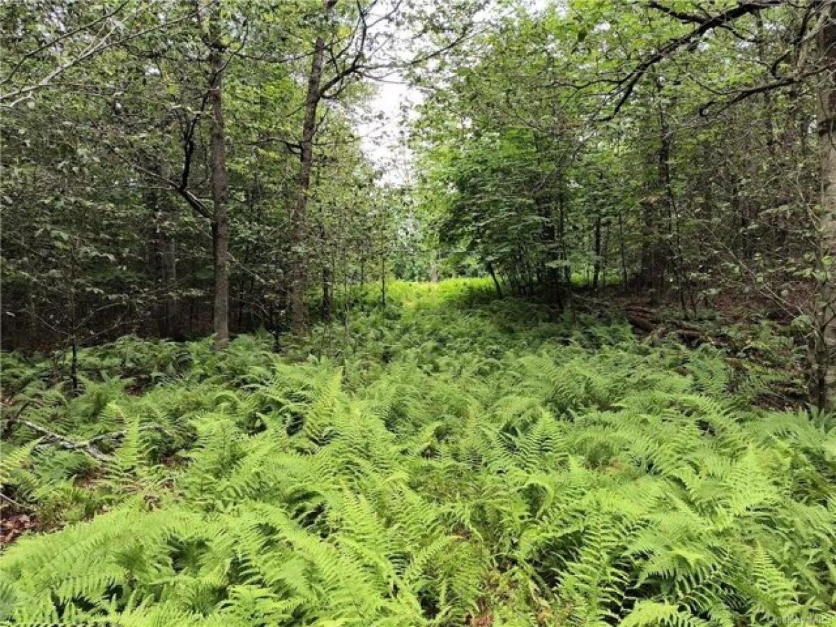 Picture of Residential Land For Sale in East Branch, New York, United States