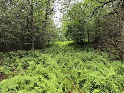 Residential Land For Sale in East Branch, New York