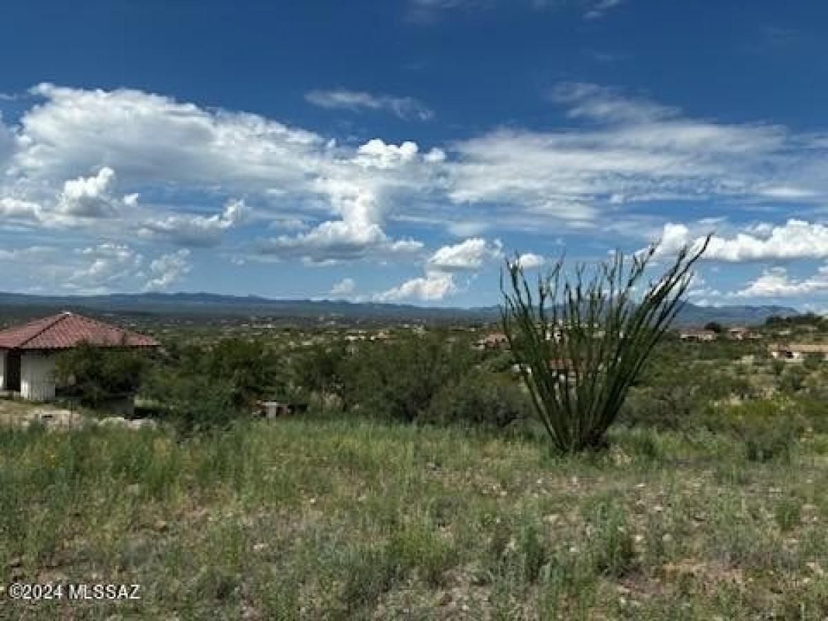 Picture of Residential Land For Sale in Rio Rico, Arizona, United States