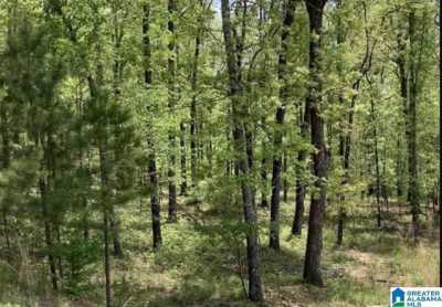 Residential Land For Sale in Springville, Alabama