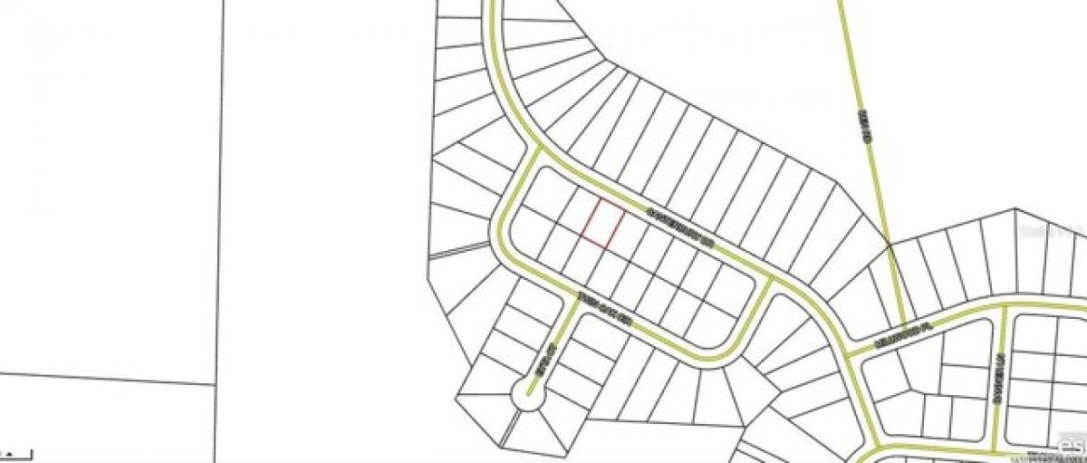 Picture of Residential Land For Rent in Chipley, Florida, United States