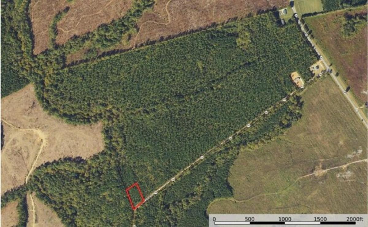 Picture of Residential Land For Sale in Lawrenceville, Virginia, United States