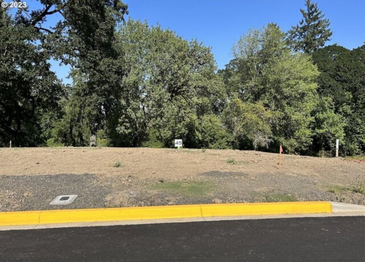 Picture of Residential Land For Sale in McMinnville, Oregon, United States