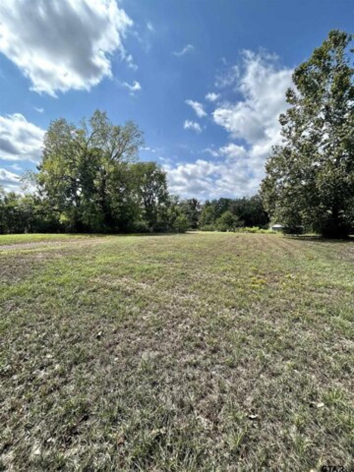 Picture of Residential Land For Sale in Rusk, Texas, United States