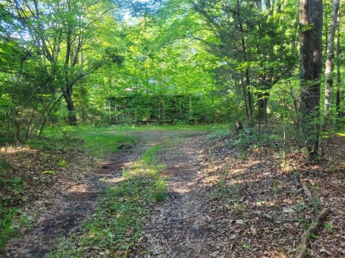 Picture of Residential Land For Sale in Farmville, Virginia, United States