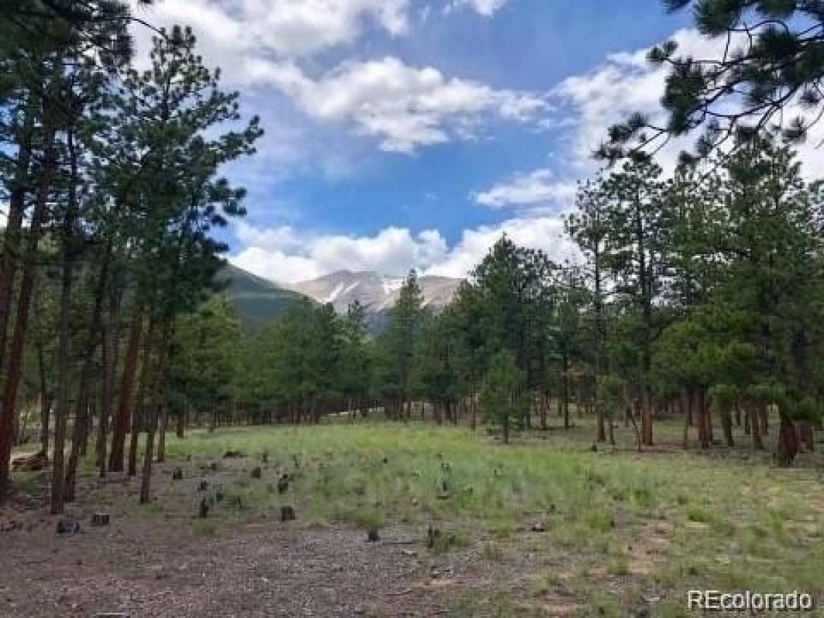 Picture of Residential Land For Sale in Buena Vista, Colorado, United States