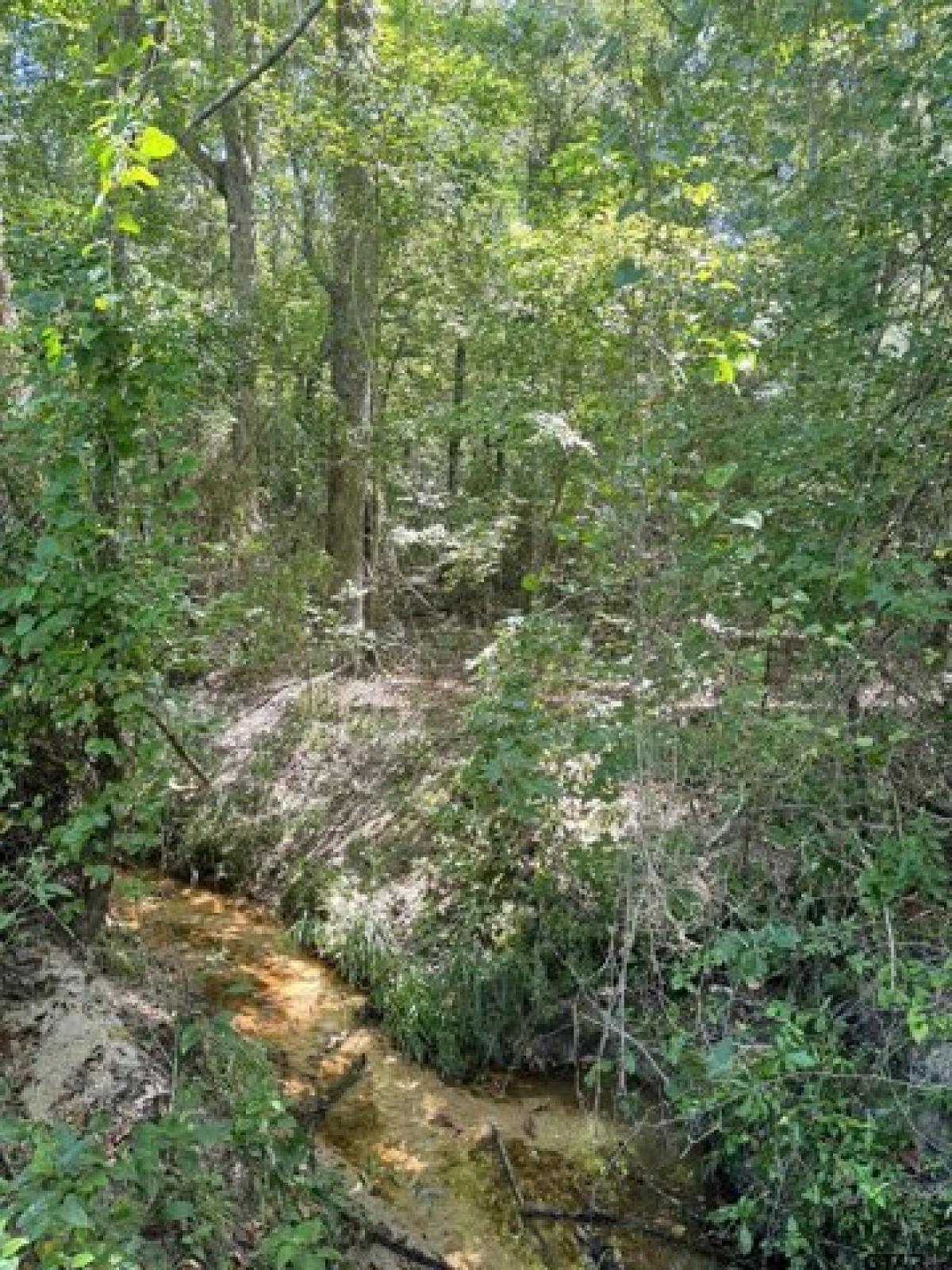 Picture of Residential Land For Sale in Pittsburg, Texas, United States