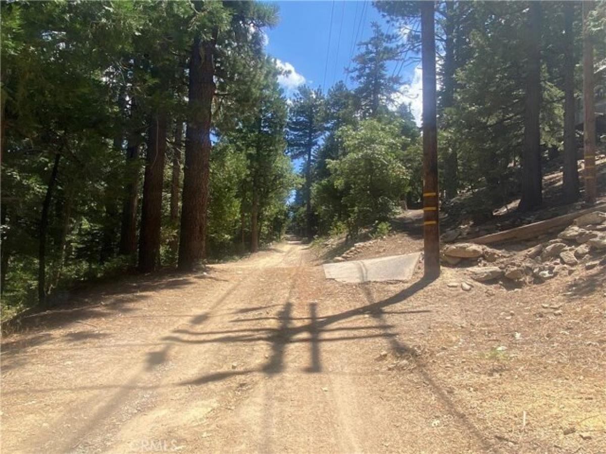 Picture of Residential Land For Sale in Idyllwild, California, United States