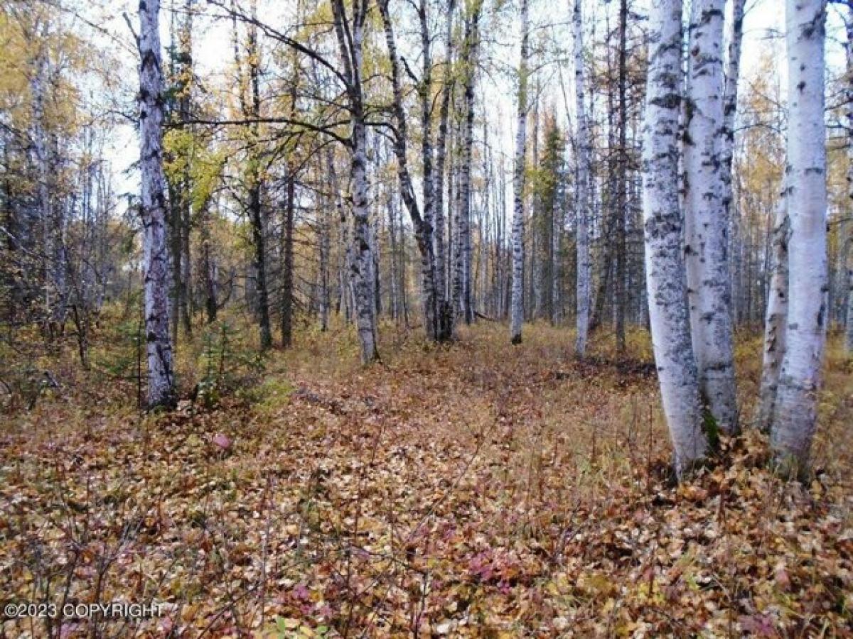 Picture of Residential Land For Sale in Talkeetna, Alaska, United States