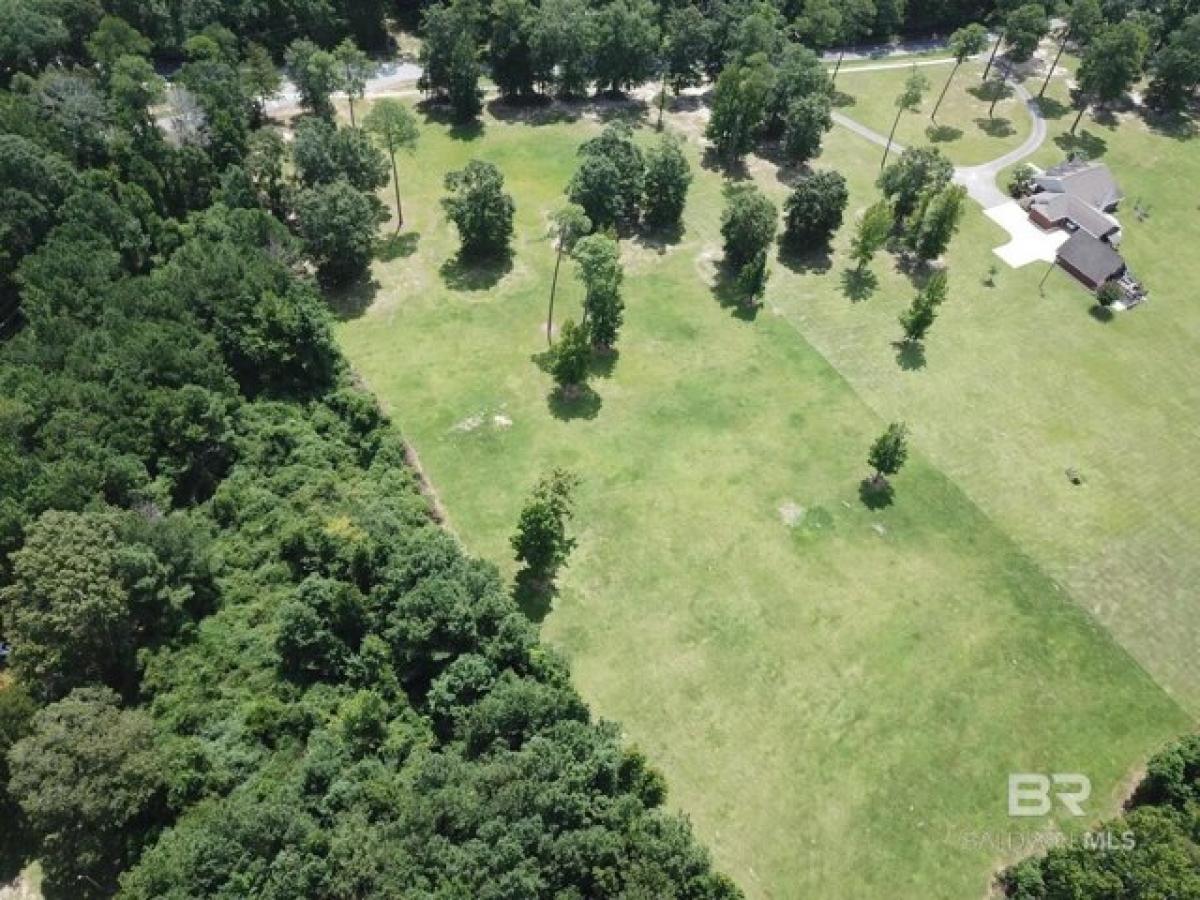 Picture of Residential Land For Sale in Brewton, Alabama, United States