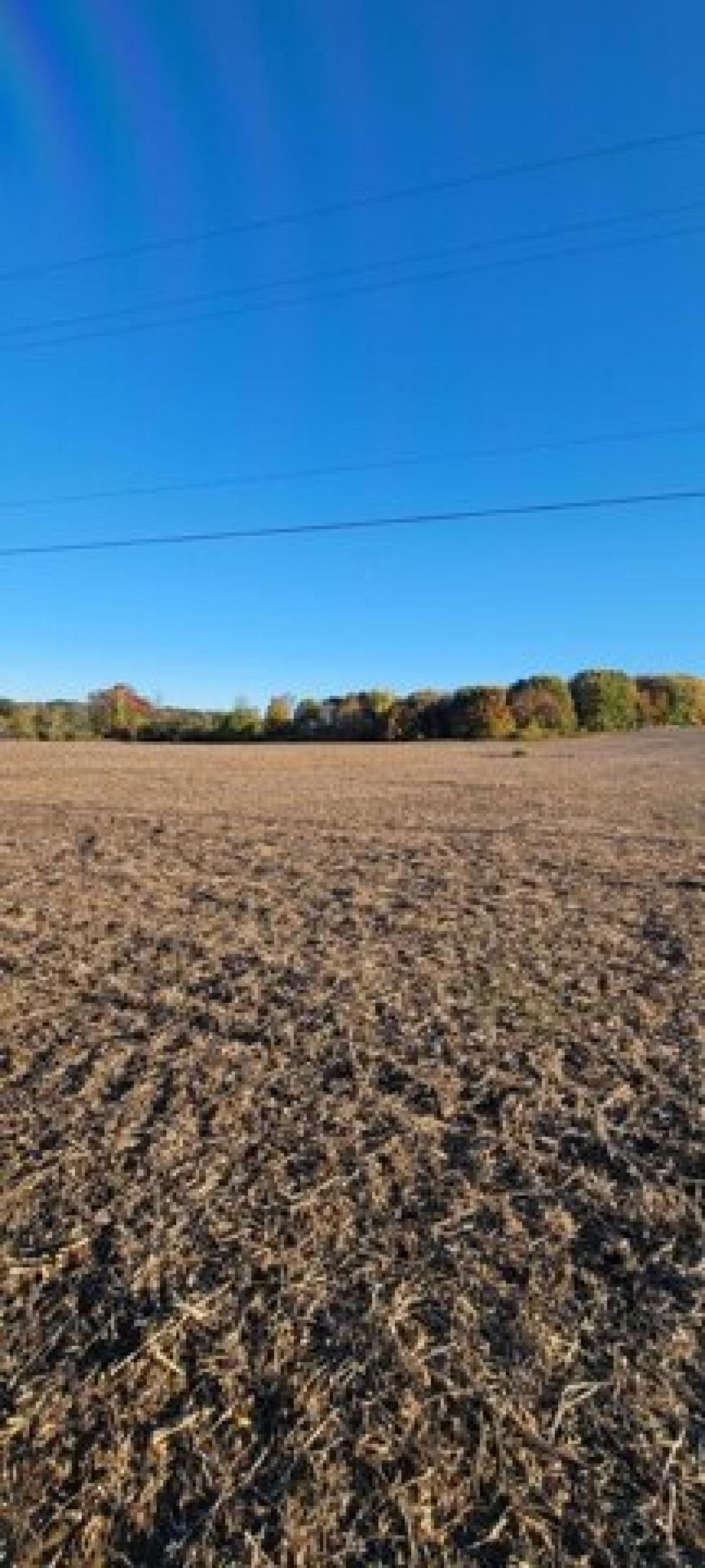 Picture of Residential Land For Sale in Albion, Michigan, United States