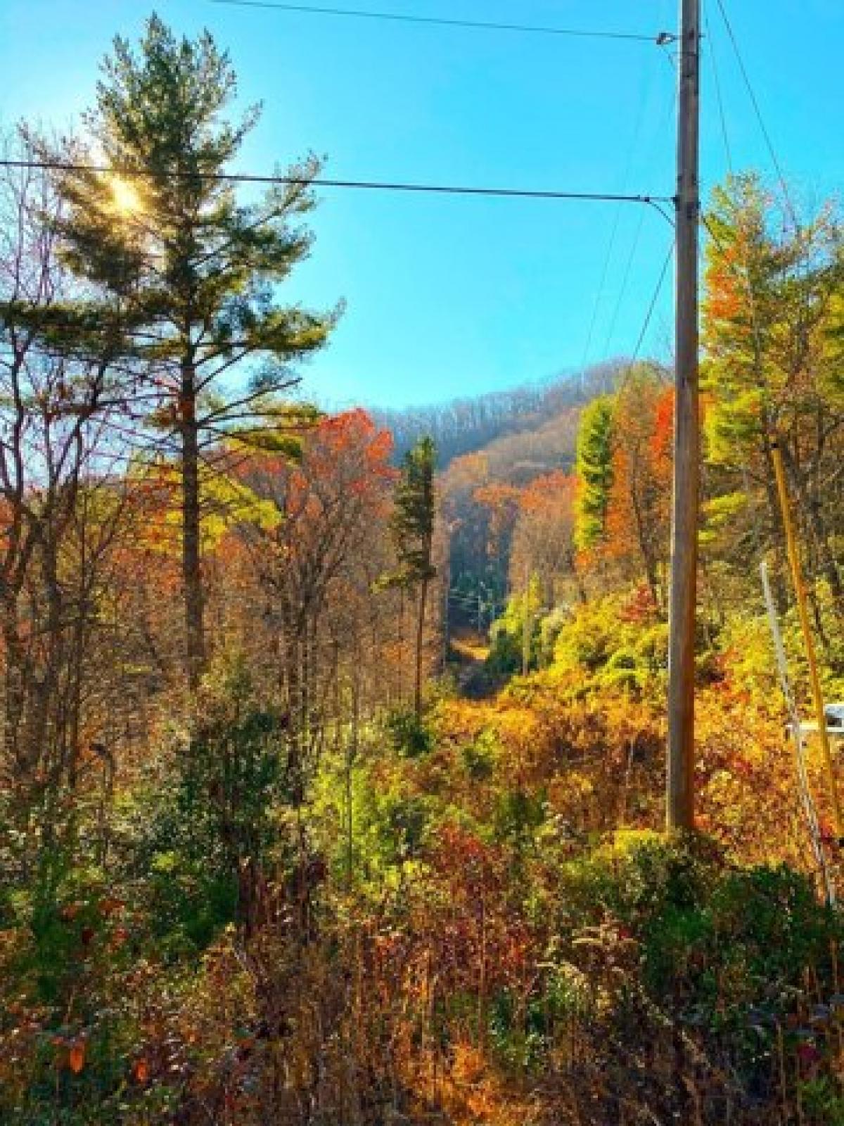 Picture of Residential Land For Sale in Murphy, North Carolina, United States