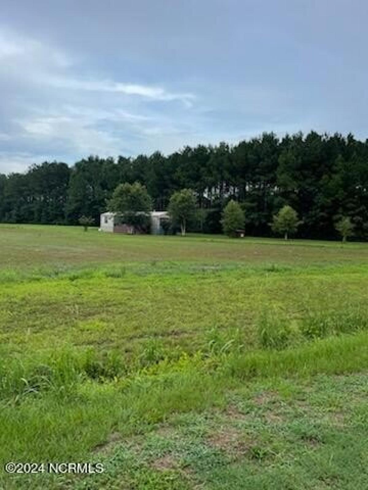 Picture of Residential Land For Sale in Turkey, North Carolina, United States