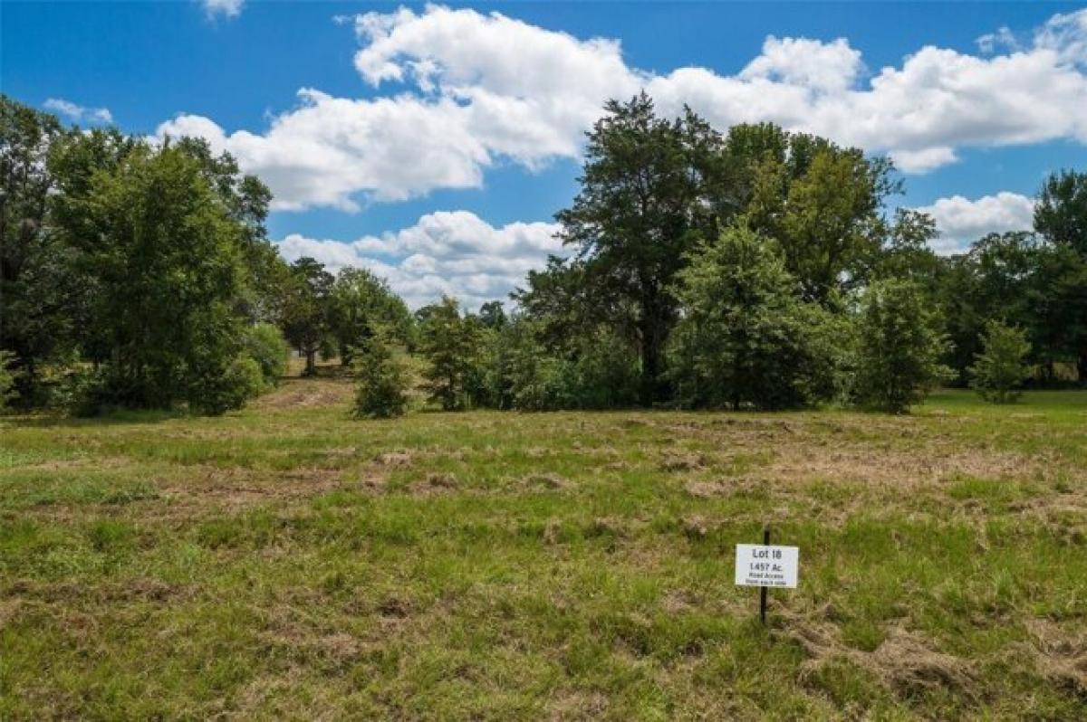 Picture of Residential Land For Sale in Mount Pleasant, Texas, United States