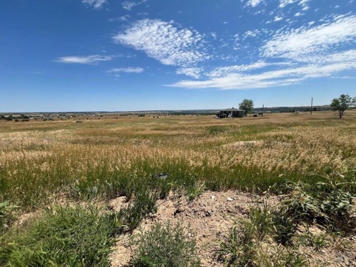 Picture of Residential Land For Sale in Colorado City, Colorado, United States