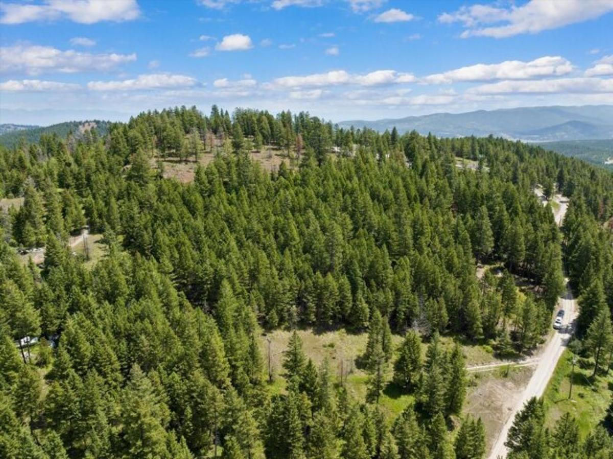 Picture of Residential Land For Sale in Kalispell, Montana, United States