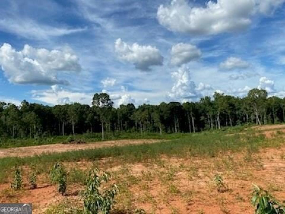 Picture of Residential Land For Sale in Danielsville, Georgia, United States