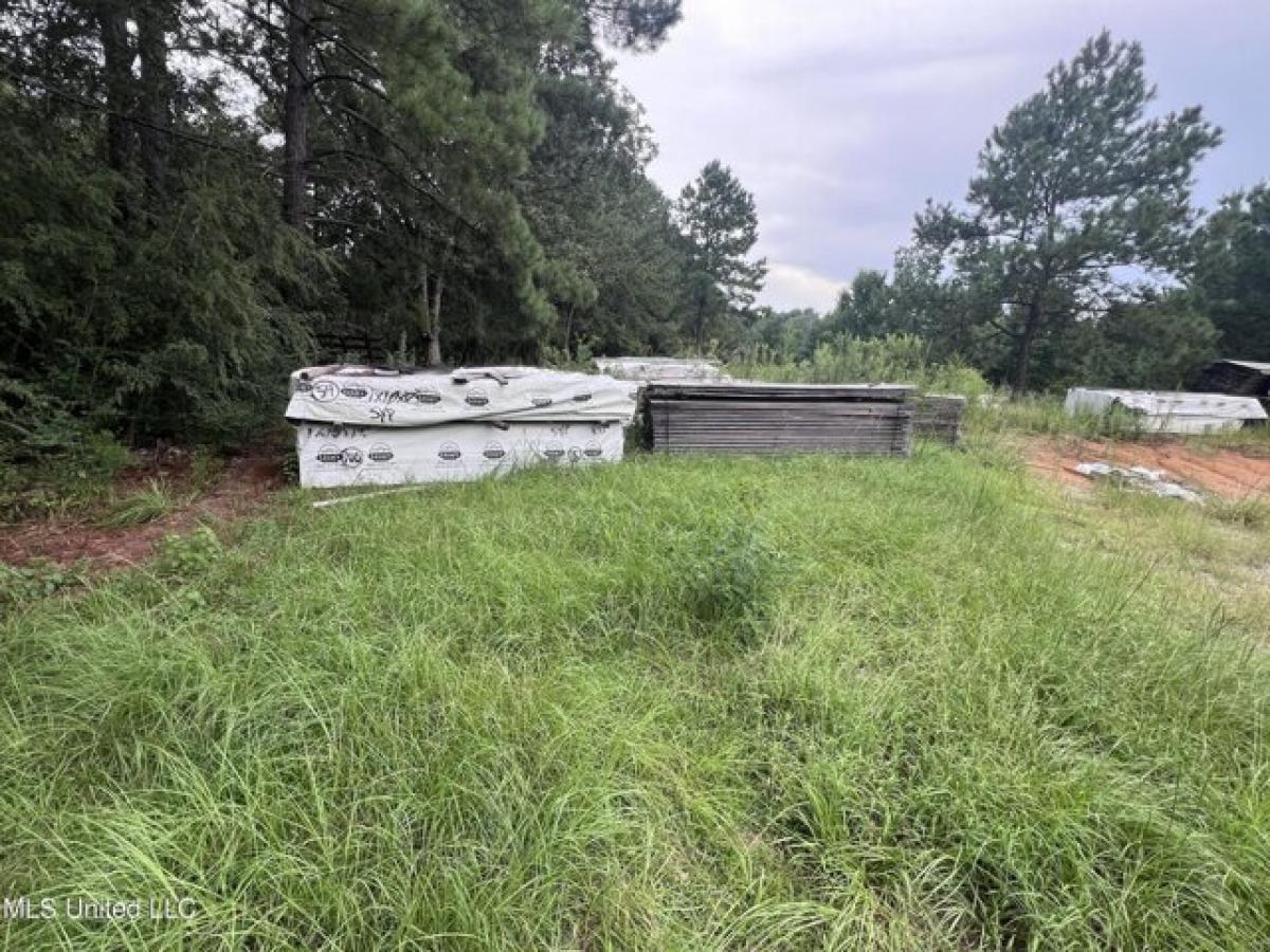 Picture of Home For Sale in Lumberton, Mississippi, United States