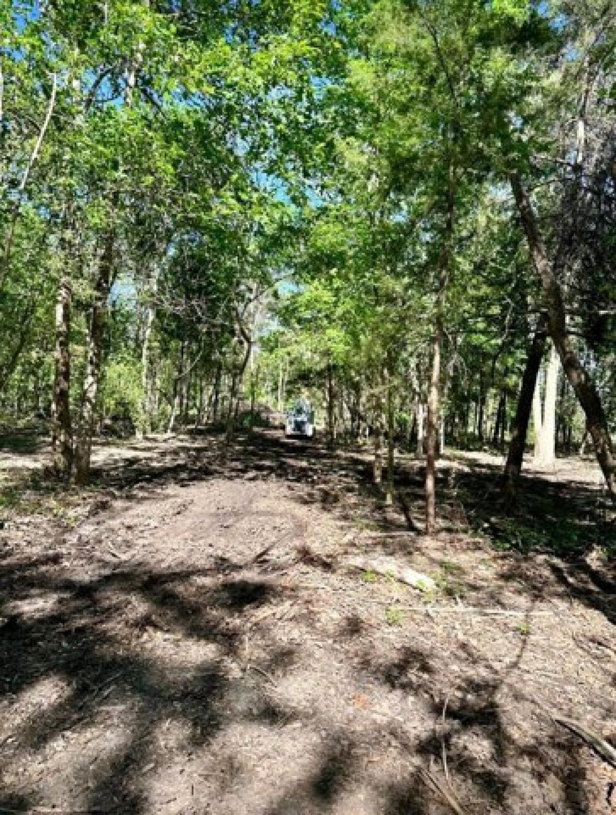 Picture of Residential Land For Sale in Liverpool, Texas, United States