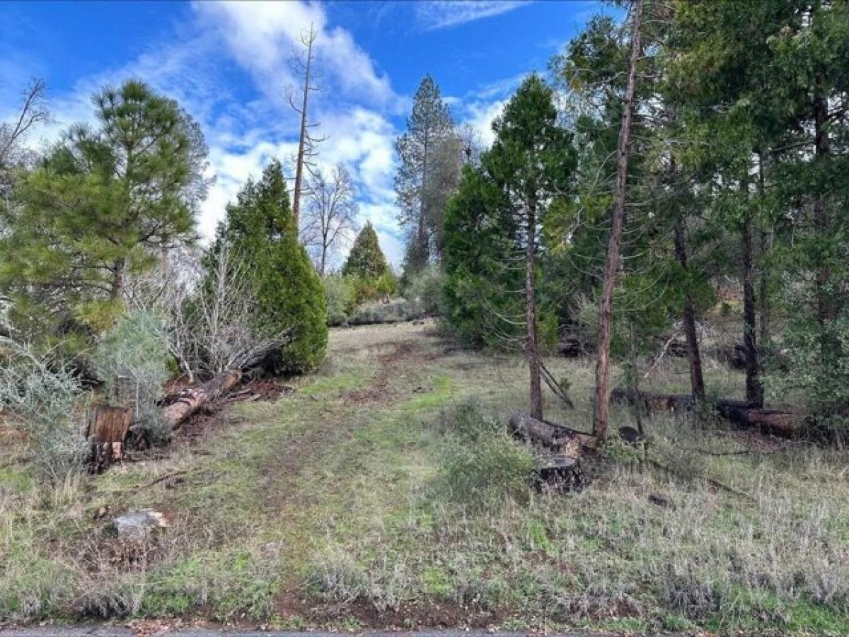 Picture of Residential Land For Sale in Coarsegold, California, United States