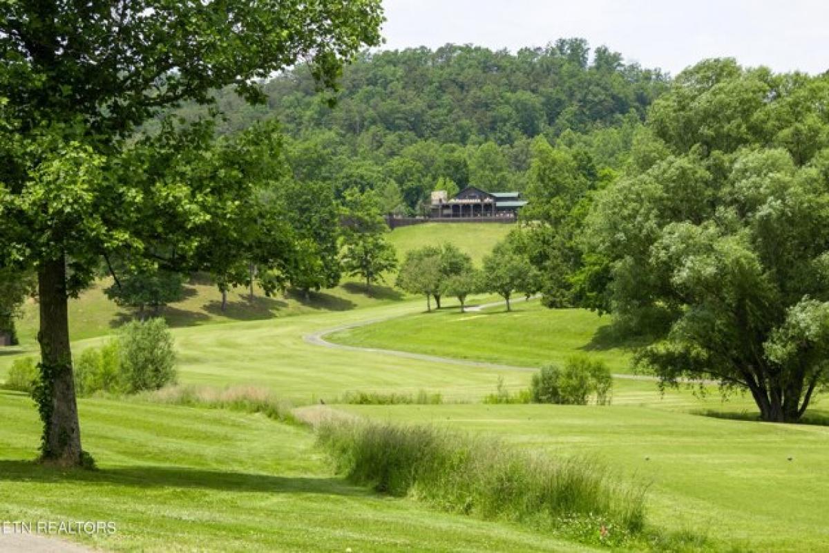 Picture of Residential Land For Sale in Townsend, Tennessee, United States