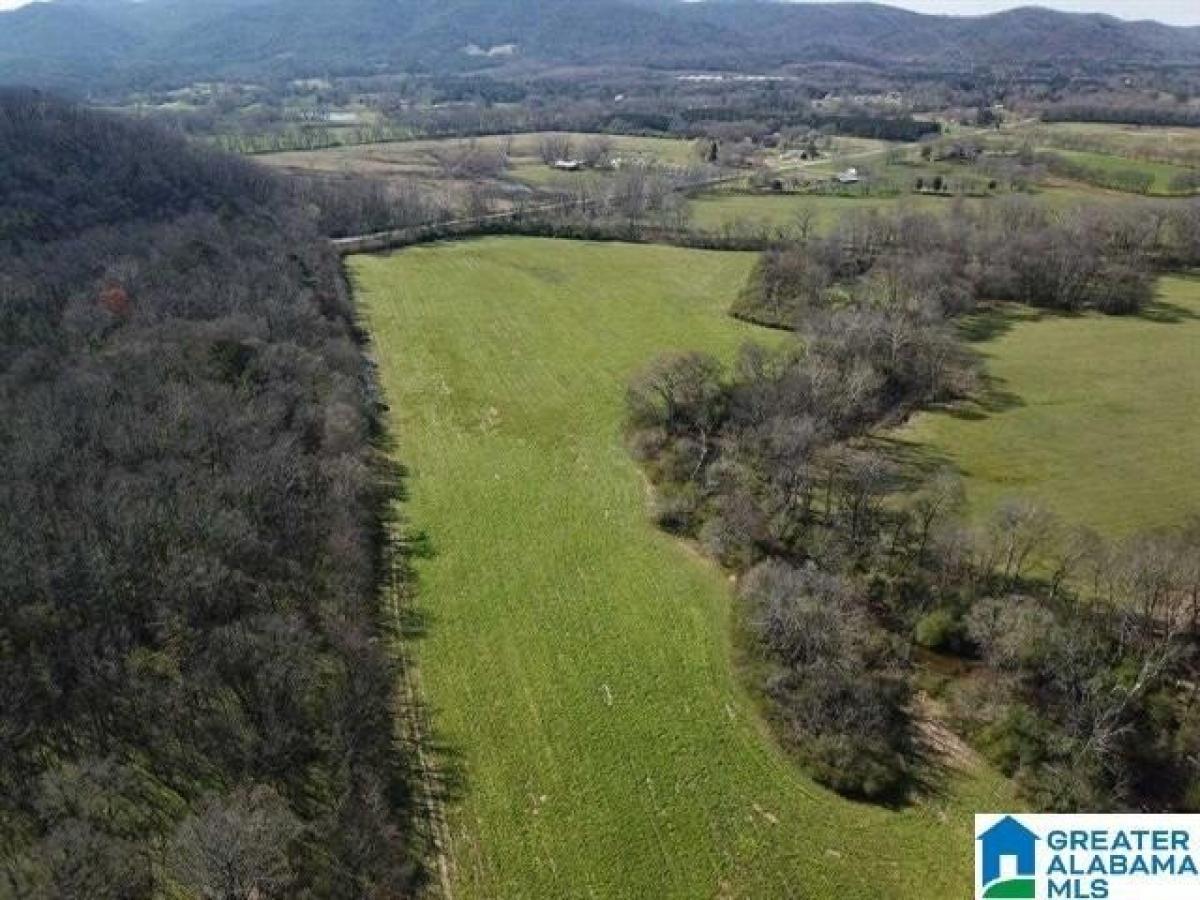 Picture of Residential Land For Sale in Anniston, Alabama, United States