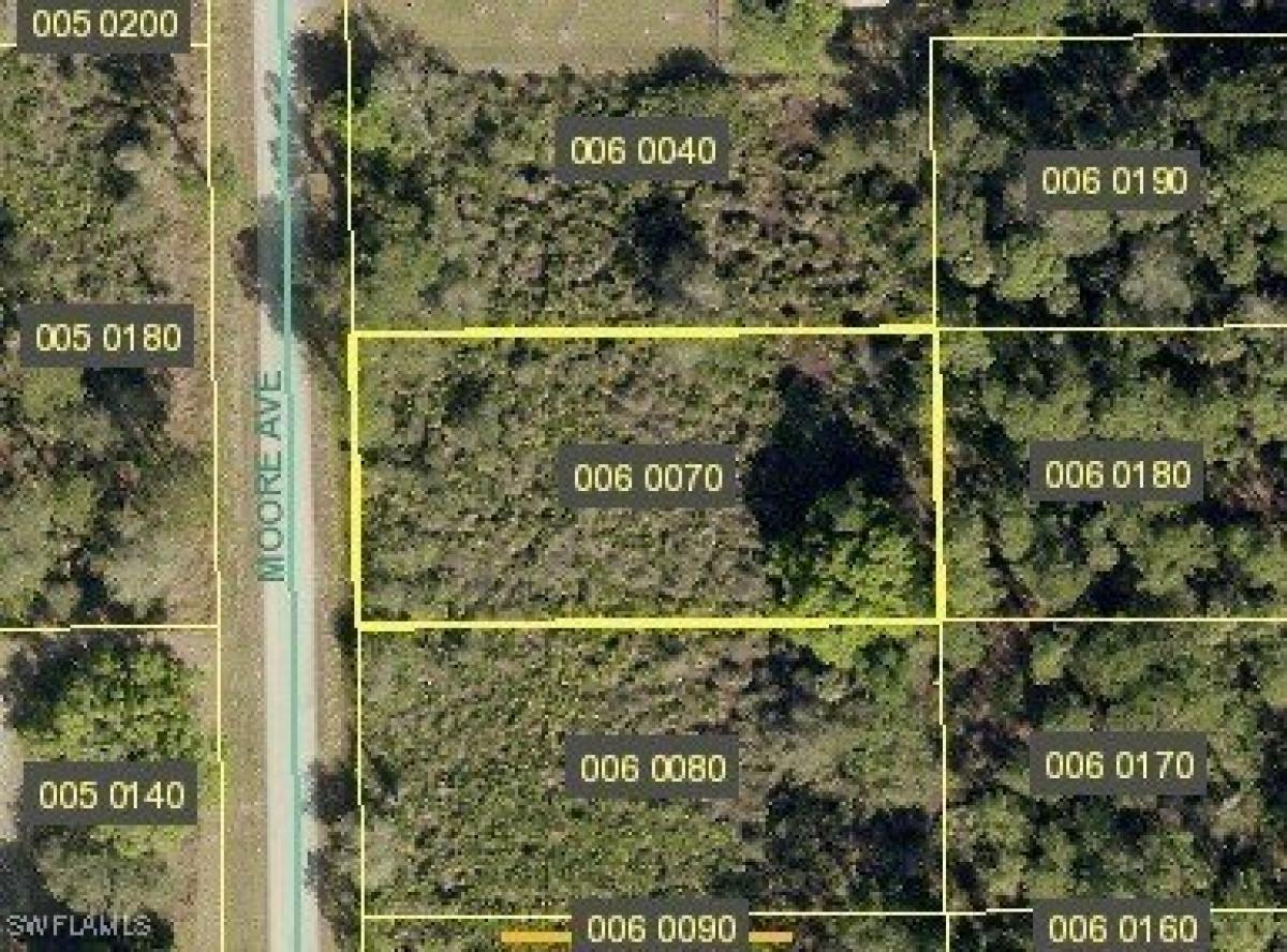 Picture of Residential Land For Sale in Alva, Florida, United States