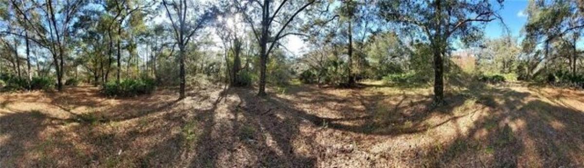 Picture of Residential Land For Sale in New Port Richey, Florida, United States