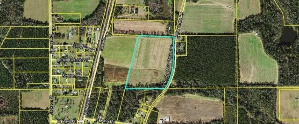 Picture of Residential Land For Sale in Greensboro, Florida, United States