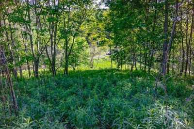 Residential Land For Sale in Clyde, North Carolina