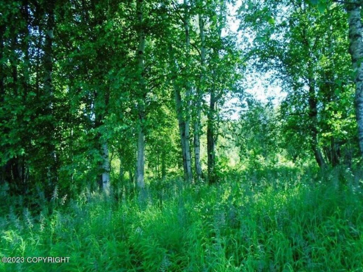 Picture of Residential Land For Sale in Talkeetna, Alaska, United States