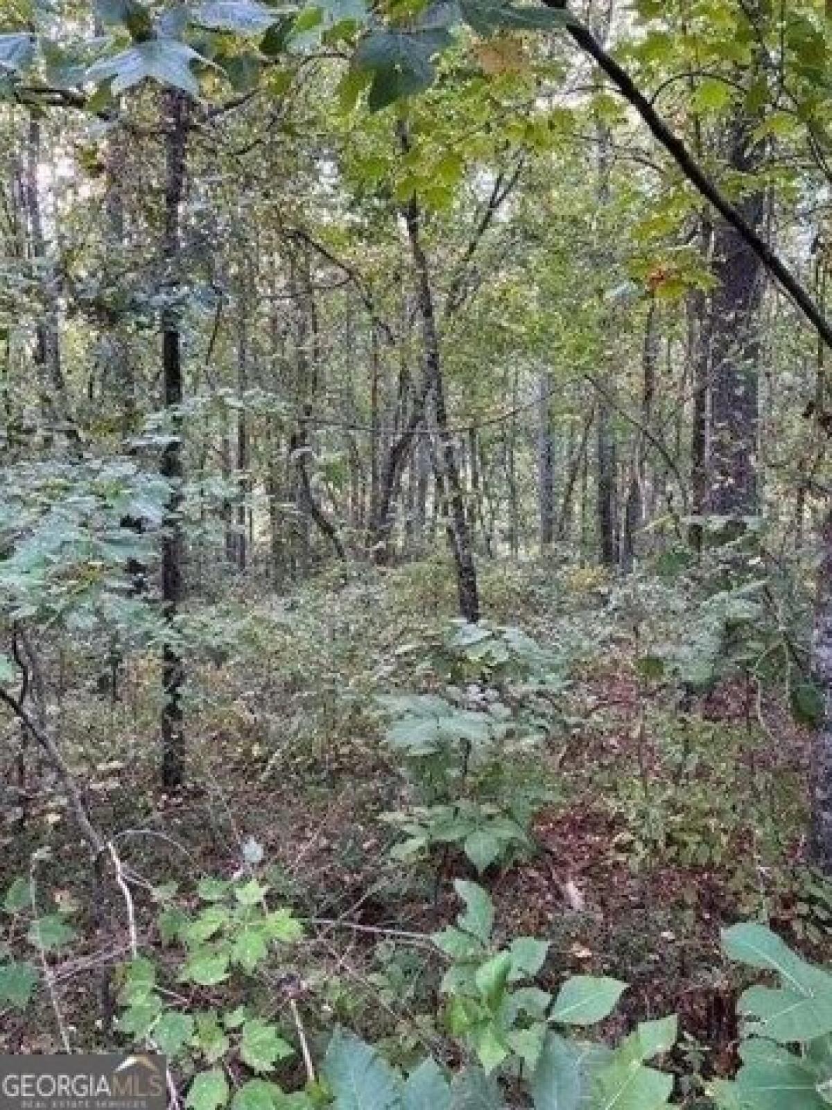 Picture of Residential Land For Sale in Ball Ground, Georgia, United States