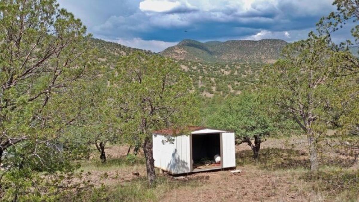 Picture of Residential Land For Sale in Fort Davis, Texas, United States