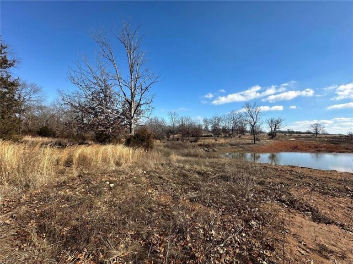 Picture of Residential Land For Sale in Mineral Point, Missouri, United States