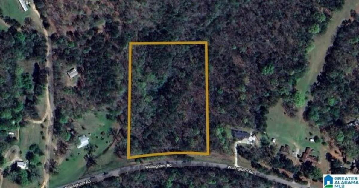 Picture of Residential Land For Sale in Talladega, Alabama, United States