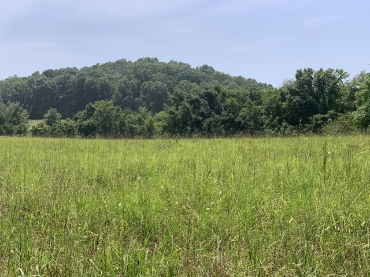 Picture of Residential Land For Sale in Columbia, Tennessee, United States