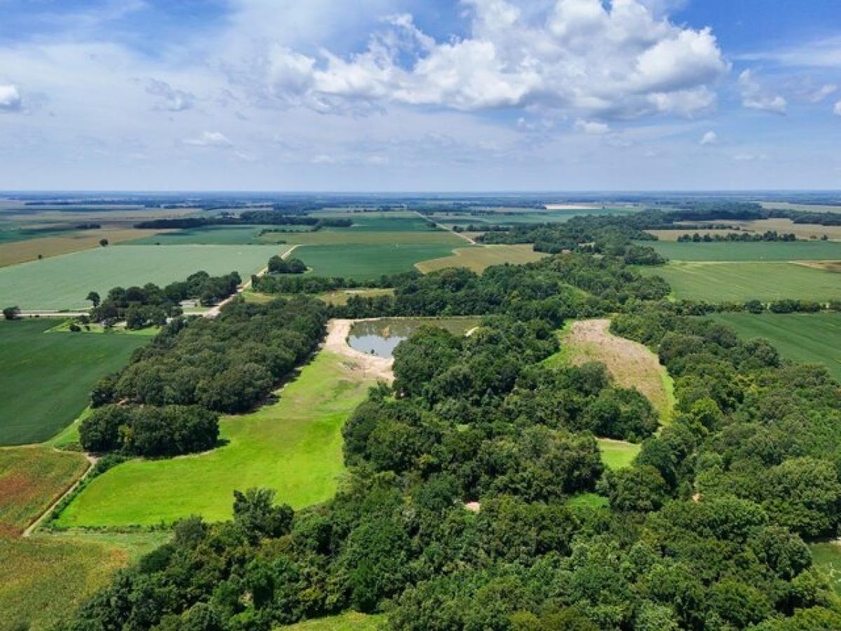 Picture of Residential Land For Sale in Cherry Valley, Arkansas, United States