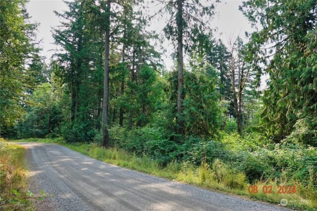 Picture of Residential Land For Sale in Graham, Washington, United States