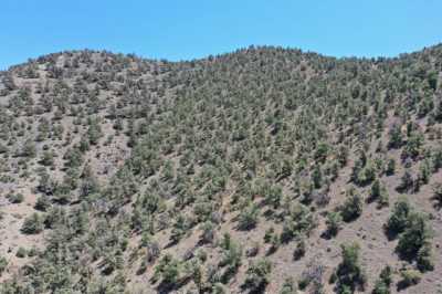 Residential Land For Sale in Hawthorne, Nevada