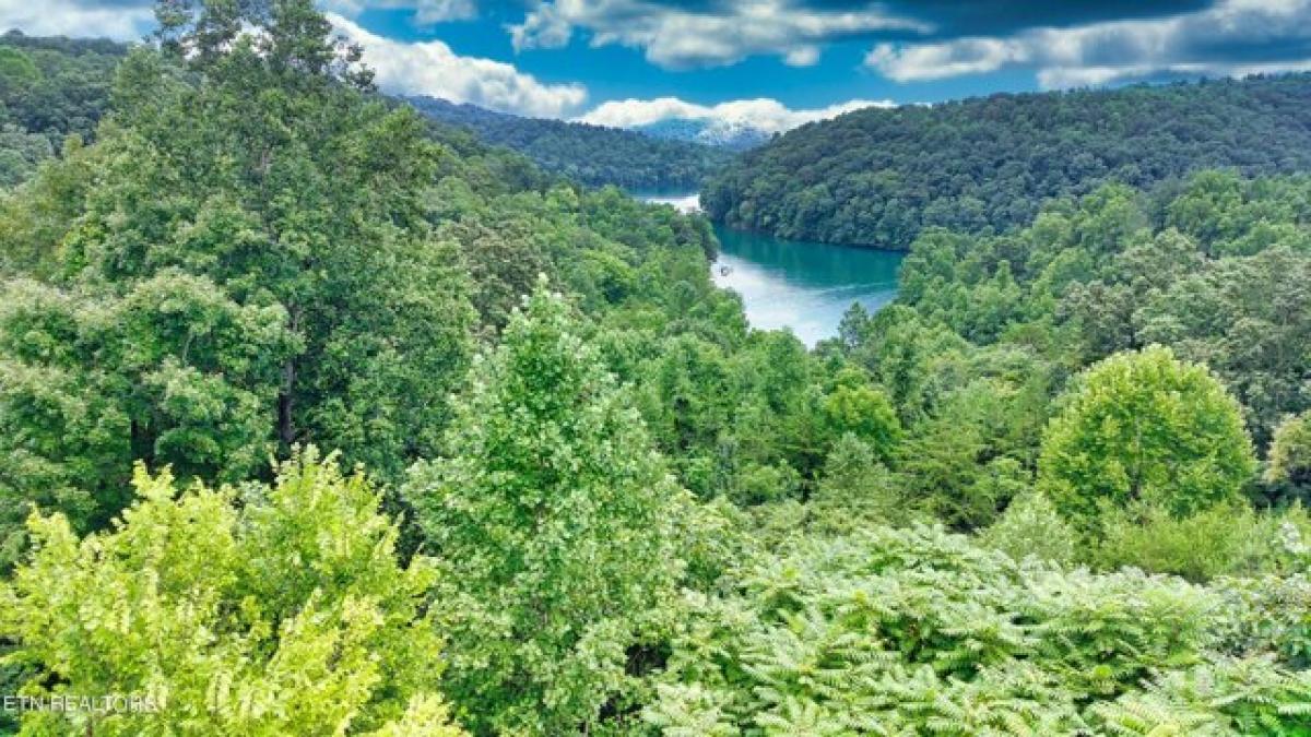 Picture of Residential Land For Sale in Jacksboro, Tennessee, United States