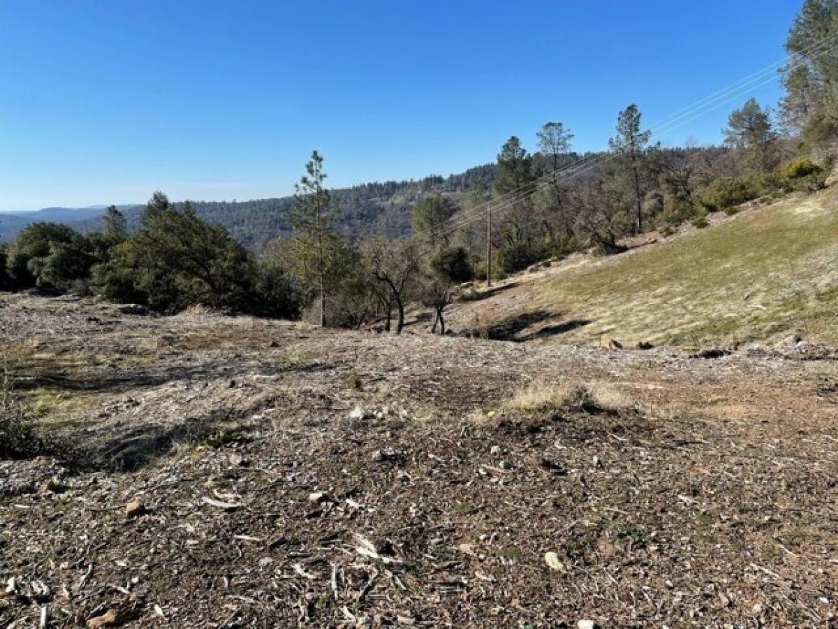 Picture of Residential Land For Sale in Camino, California, United States