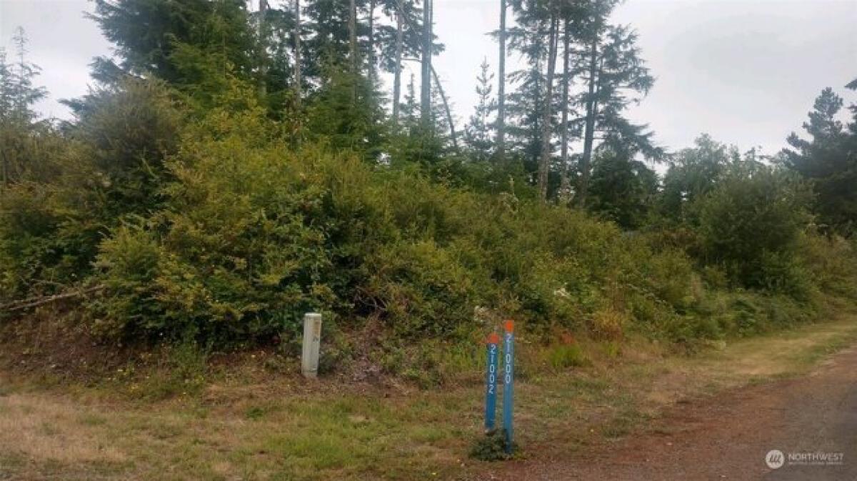 Picture of Residential Land For Sale in Ocean Park, Washington, United States