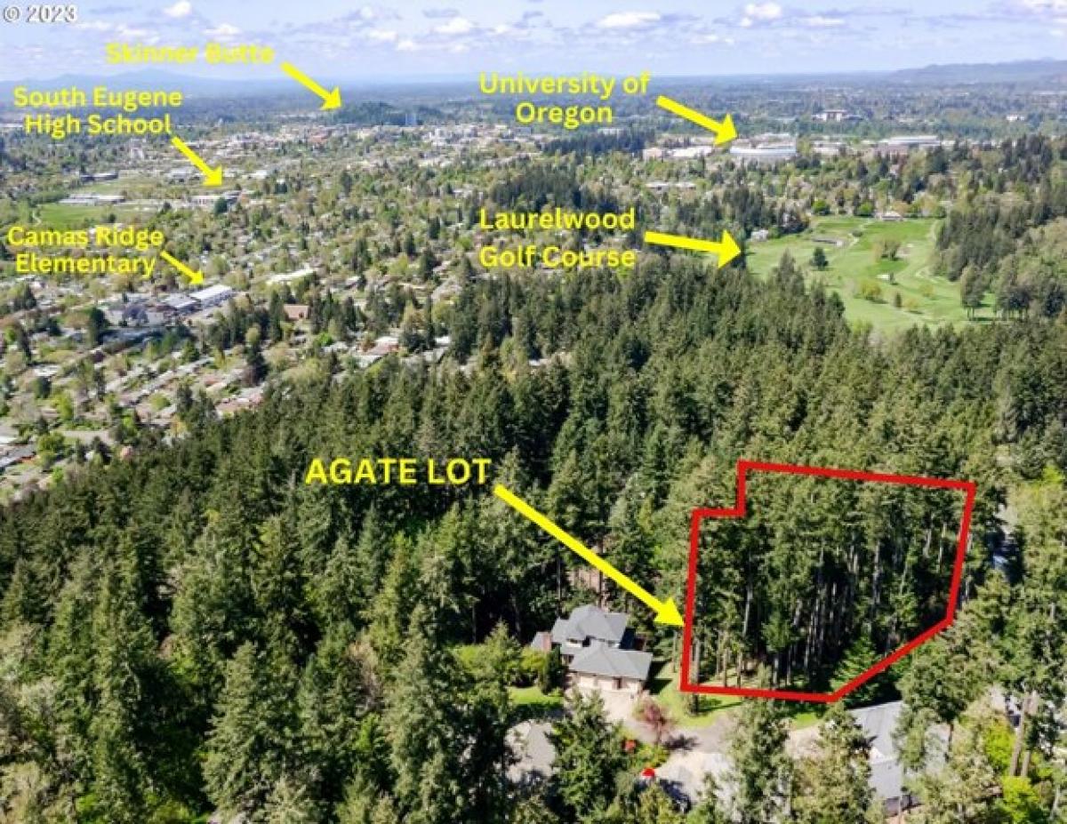 Picture of Residential Land For Sale in Eugene, Oregon, United States