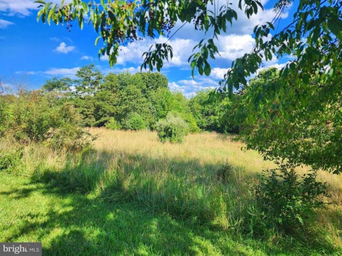 Picture of Residential Land For Sale in Keyser, West Virginia, United States