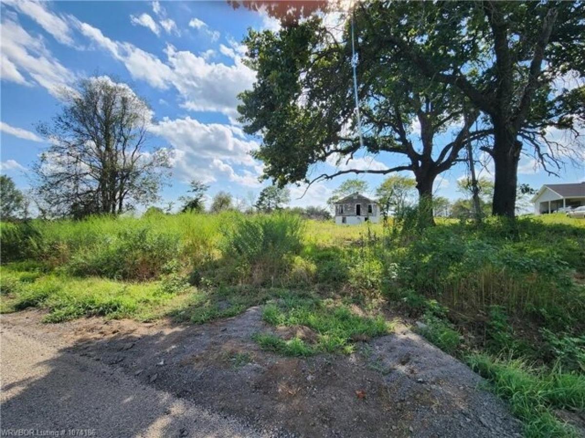 Picture of Residential Land For Sale in Cecil, Arkansas, United States